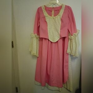 Elegant‎ Pink and Cream Costume 26W